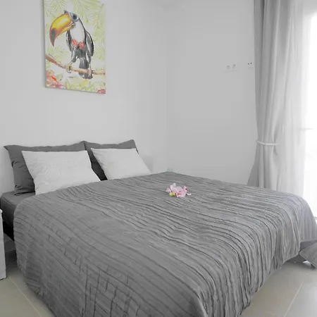 Patricia 普拉亚布兰卡